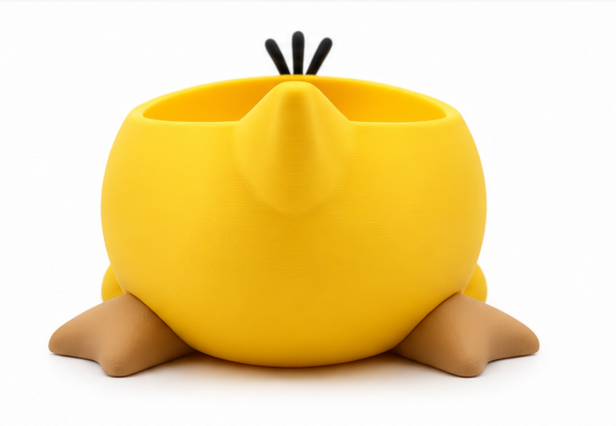 Duck Soap Holder